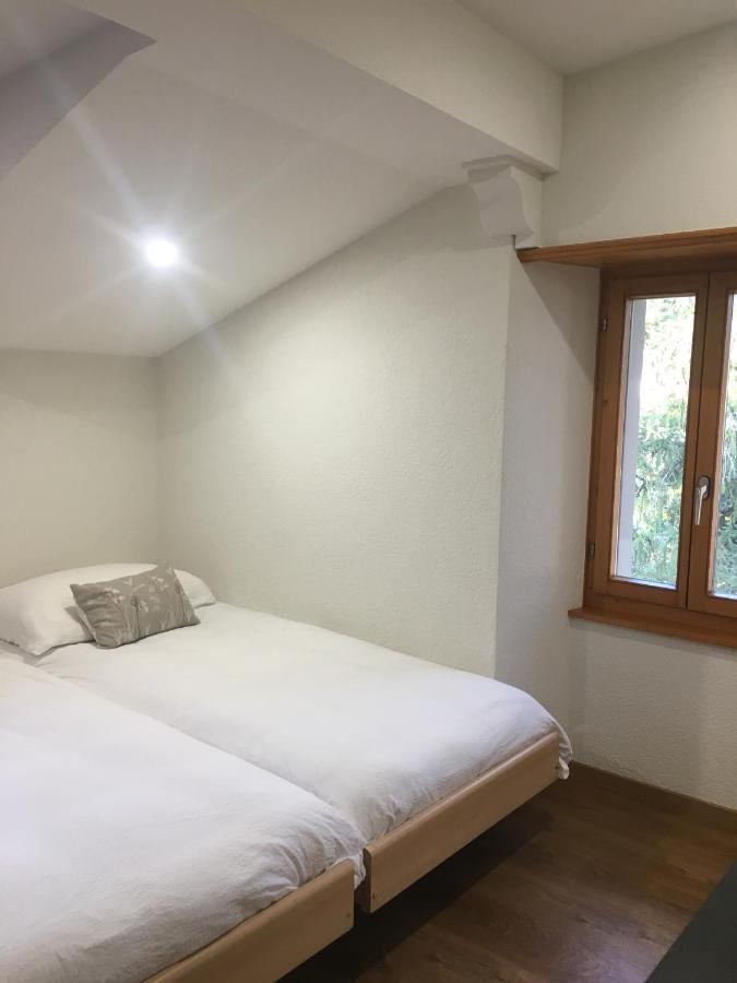La Dent-Du-Midi Hotel & Restaurant Saint-Maurice Dış mekan fotoğraf